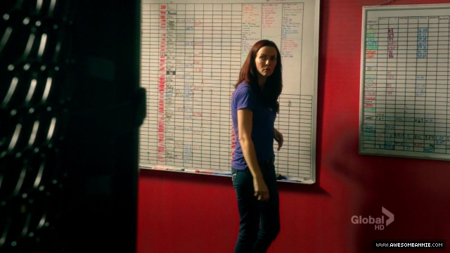 Annie Wersching in Hawaii Five-0