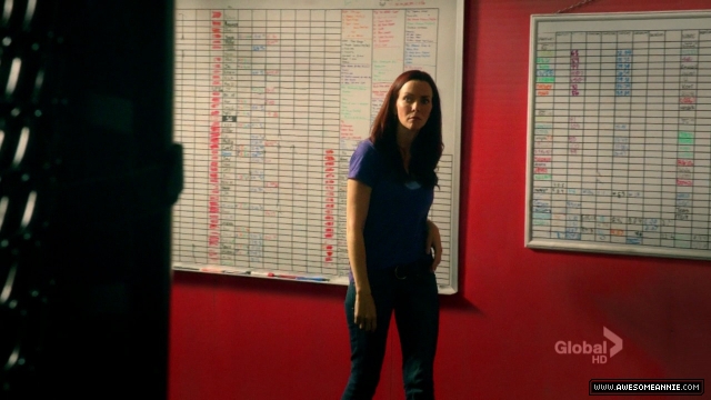 Annie Wersching in Hawaii Five-0