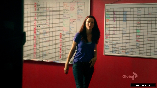 Annie Wersching in Hawaii Five-0