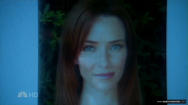 Annie Wersching as Diana Bloom in Journeyman