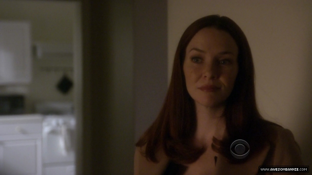 Annie Wersching in NCIS False Witness as Gail Walsh