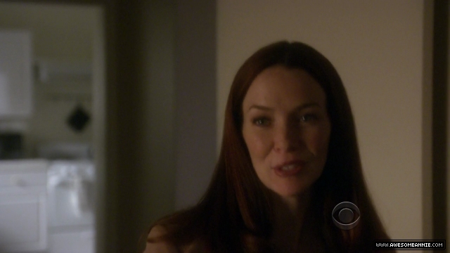 Annie Wersching in NCIS False Witness as Gail Walsh