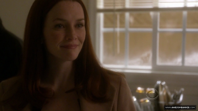 Annie Wersching in NCIS False Witness as Gail Walsh