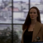 Annie Wersching in NCIS False Witness as Gail Walsh