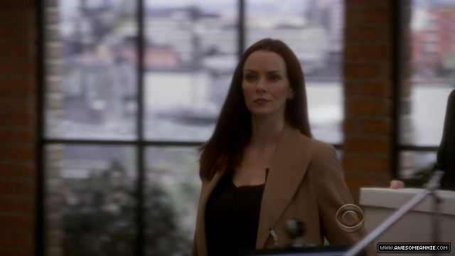 Annie Wersching in NCIS False Witness as Gail Walsh