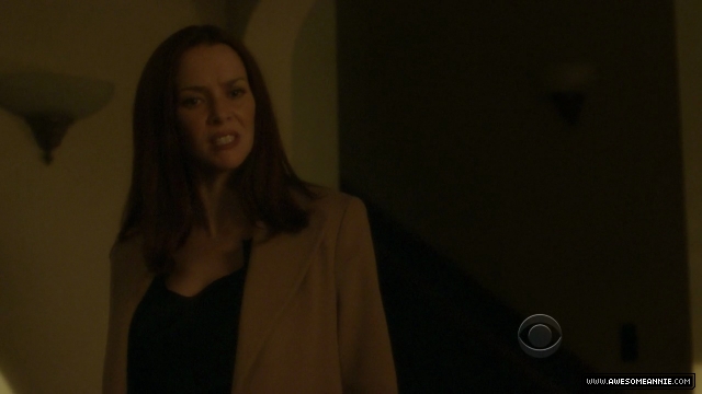 Annie Wersching in NCIS False Witness as Gail Walsh