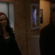 Annie Wersching in NCIS False Witness as Gail Walsh