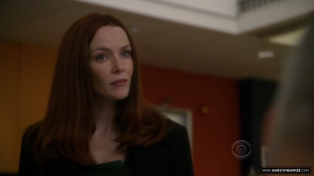 Annie Wersching in NCIS False Witness as Gail Walsh