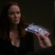 Annie Wersching in NCIS False Witness as Gail Walsh