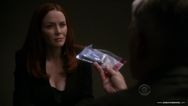 Annie Wersching in NCIS False Witness as Gail Walsh