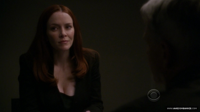 Annie Wersching in NCIS False Witness as Gail Walsh