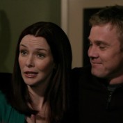 Annie Wersching in No Ordinary Family