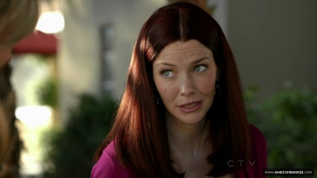 Annie Wersching in No Ordinary Family