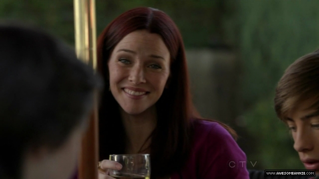 Annie Wersching in No Ordinary Family