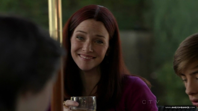 Annie Wersching in No Ordinary Family