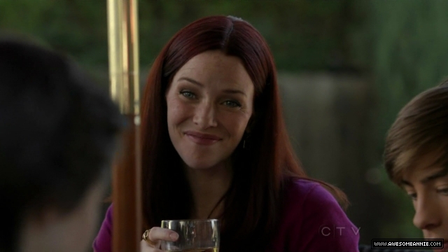 Annie Wersching in No Ordinary Family