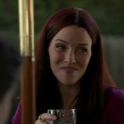 Annie Wersching in No Ordinary Family