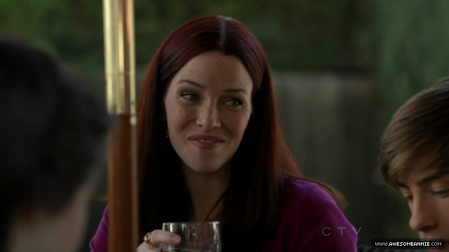 Annie Wersching in No Ordinary Family