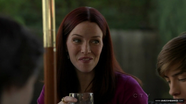 Annie Wersching in No Ordinary Family