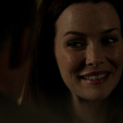 Annie Wersching in No Ordinary Family