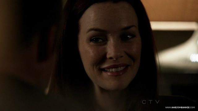 Annie Wersching in No Ordinary Family