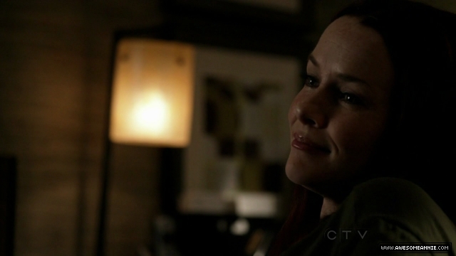 Annie Wersching in No Ordinary Family