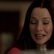 Annie Wersching in No Ordinary Family