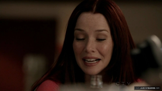 Annie Wersching in No Ordinary Family