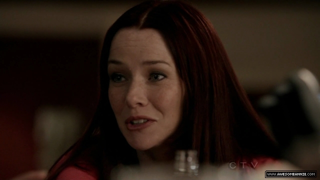 Annie Wersching in No Ordinary Family