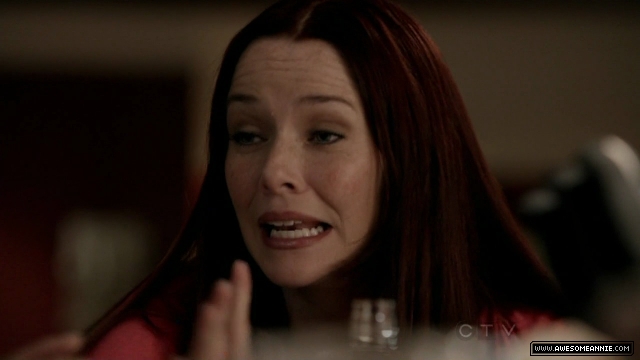 Annie Wersching in No Ordinary Family