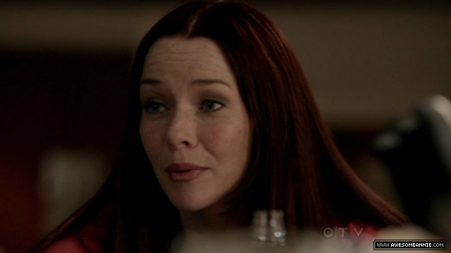 Annie Wersching in No Ordinary Family