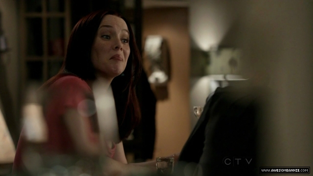 Annie Wersching in No Ordinary Family