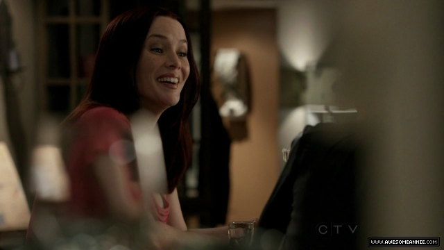 Annie Wersching in No Ordinary Family