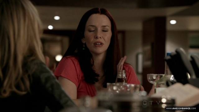 Annie Wersching in No Ordinary Family