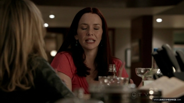 Annie Wersching in No Ordinary Family