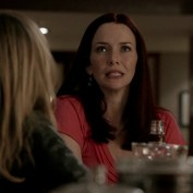 Annie Wersching in No Ordinary Family