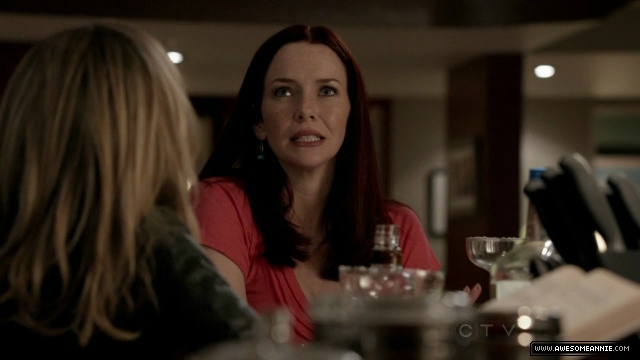 Annie Wersching in No Ordinary Family