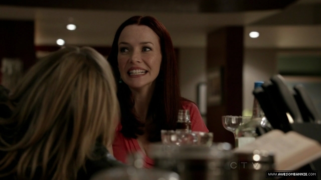 Annie Wersching in No Ordinary Family