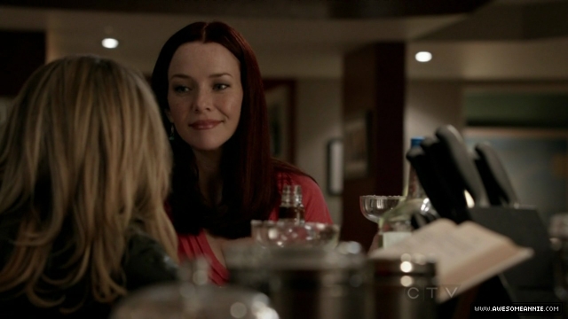 Annie Wersching in No Ordinary Family