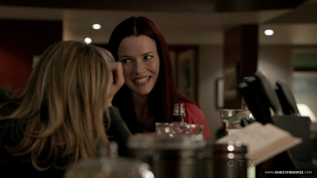 Annie Wersching in No Ordinary Family