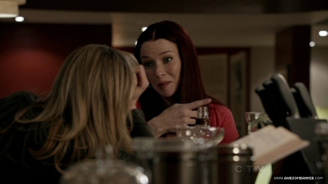 Annie Wersching in No Ordinary Family