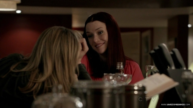 Annie Wersching in No Ordinary Family