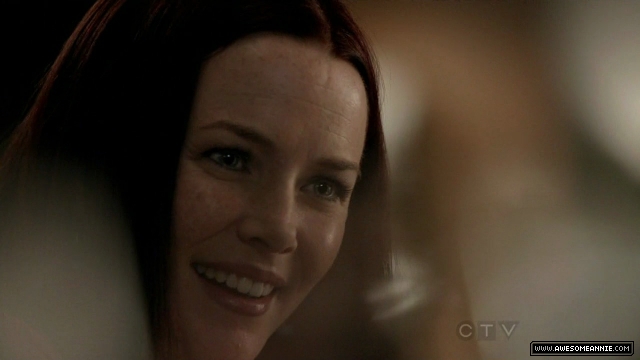 Annie Wersching in No Ordinary Family