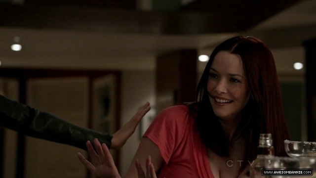 Annie Wersching in No Ordinary Family