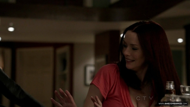 Annie Wersching in No Ordinary Family