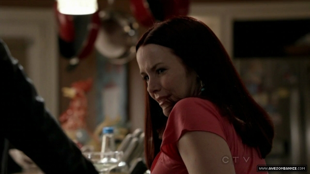 Annie Wersching in No Ordinary Family