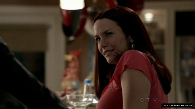 Annie Wersching in No Ordinary Family