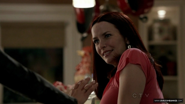 Annie Wersching in No Ordinary Family