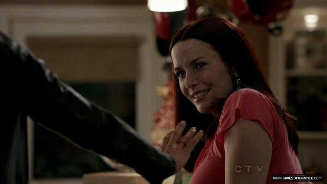 Annie Wersching in No Ordinary Family