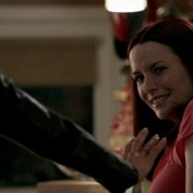 Annie Wersching in No Ordinary Family